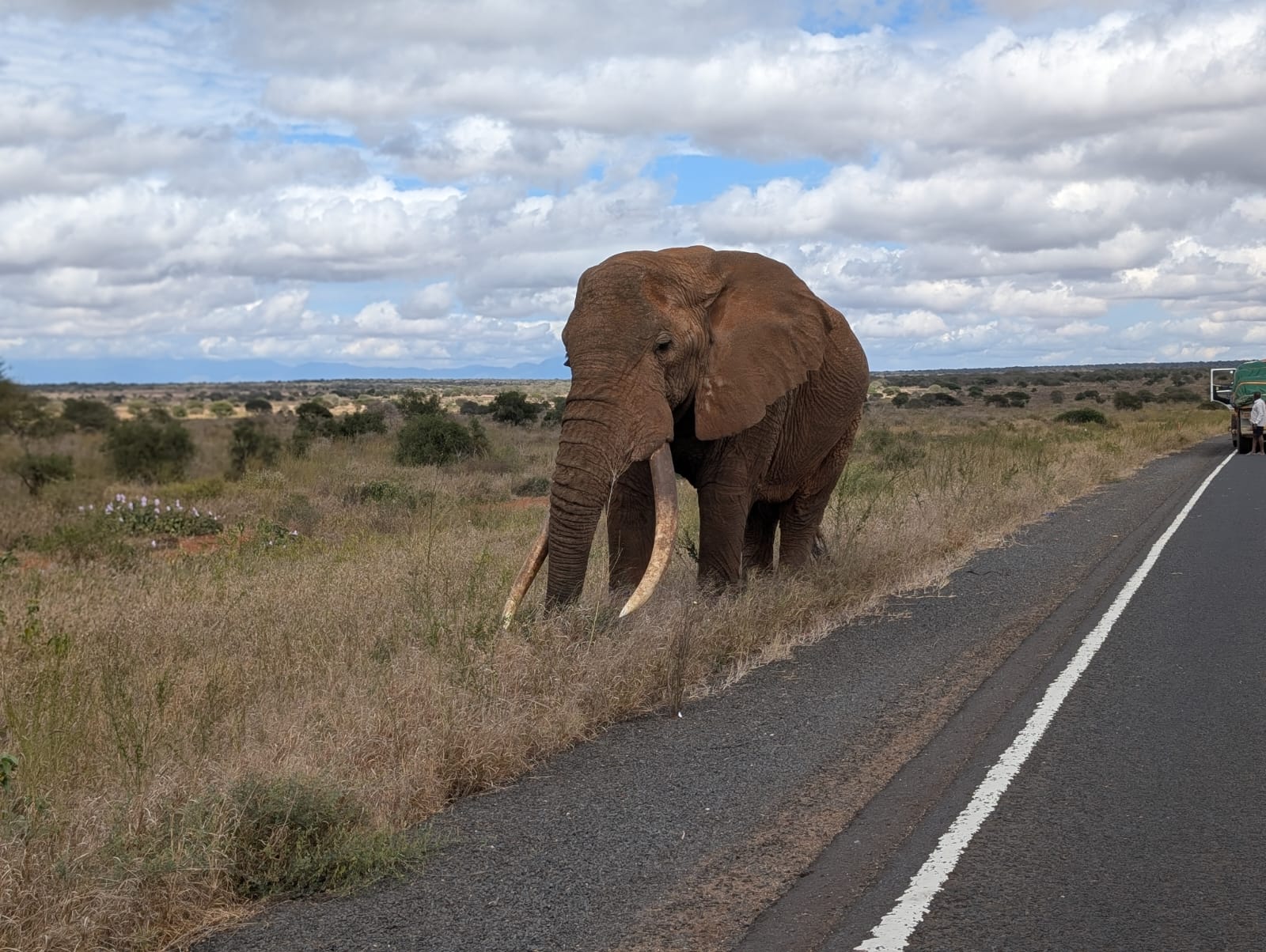 5 Days Tsavo East, Tsavo West, Amboseli, Masai Mara & Lake Nakuru