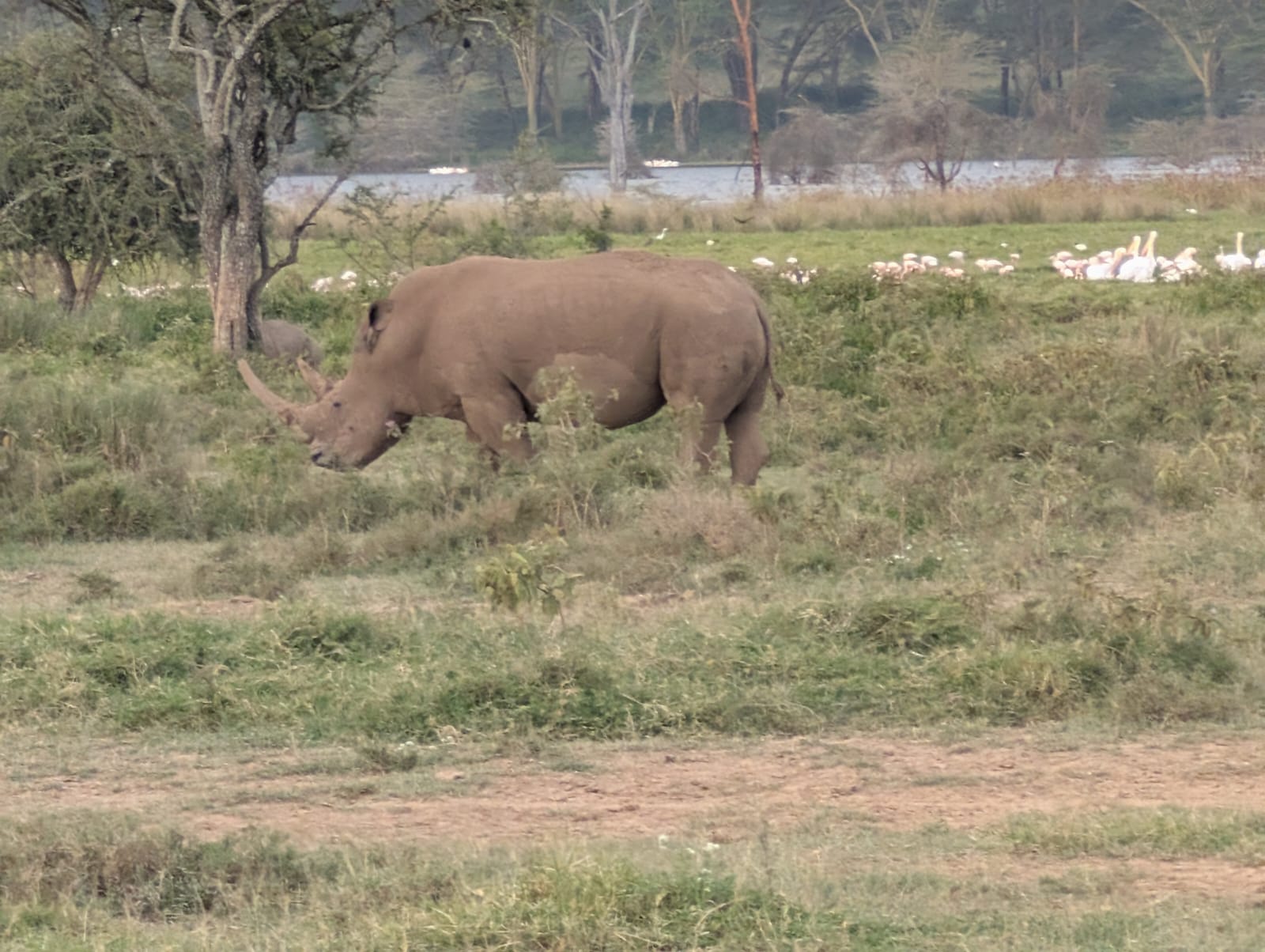 3 Days Tsavo East & Tsavo West